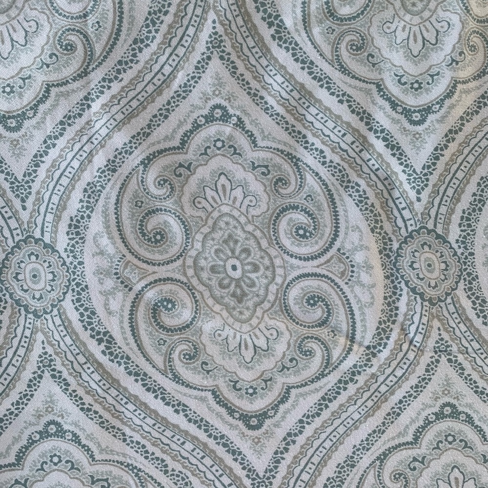 Paisley Shower Curtain